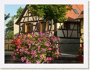 2007-08-26_18-12-15_Aout_85,0mm_1_500_eme_DiMAGE A2 * 2560 x 1920 * (4.02MB)